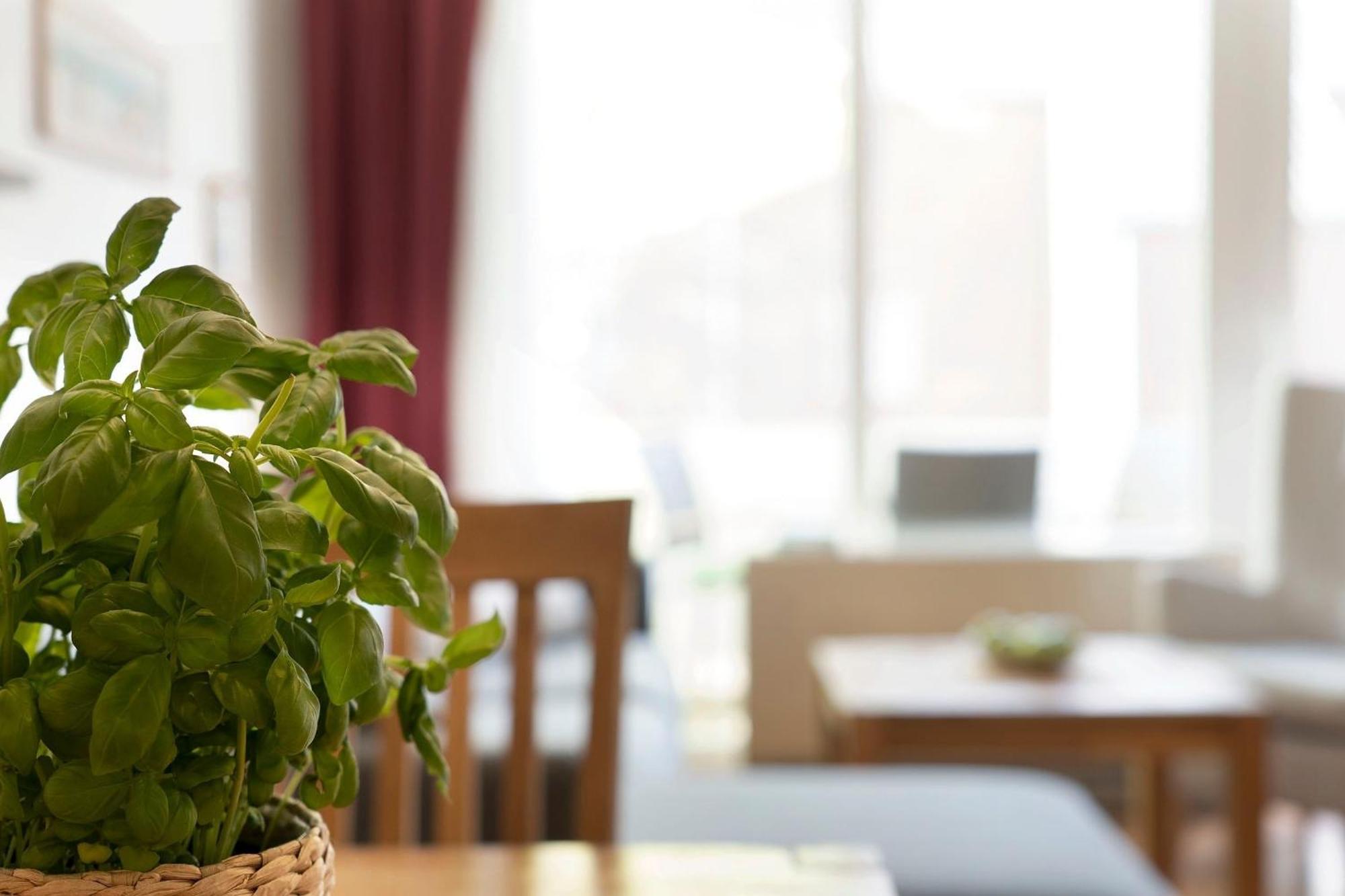 An Der Aue 4A Albrecht Apartment Dahme  Luaran gambar